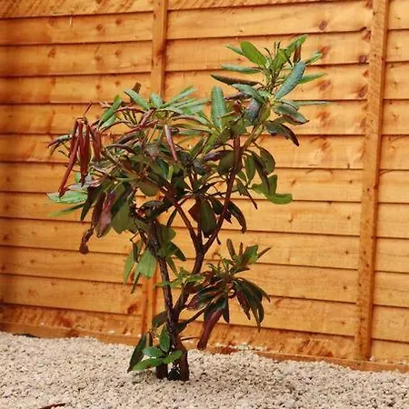 Away From - 2 Bed Free Parking & Wifi Apartamento Leeds (West Yorkshire)