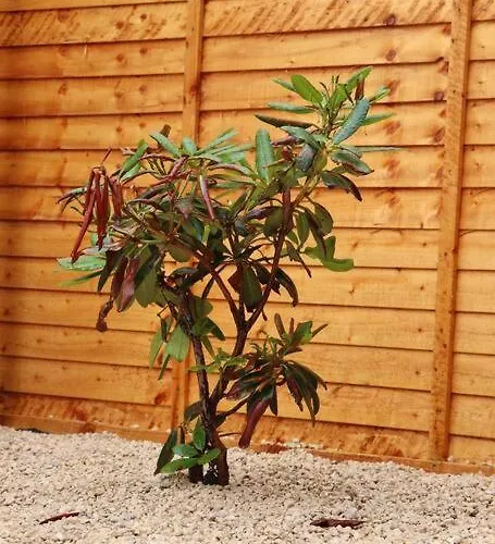 Away From - 2 Bed Free Parking & Wifi Appartamento Leeds (West Yorkshire)